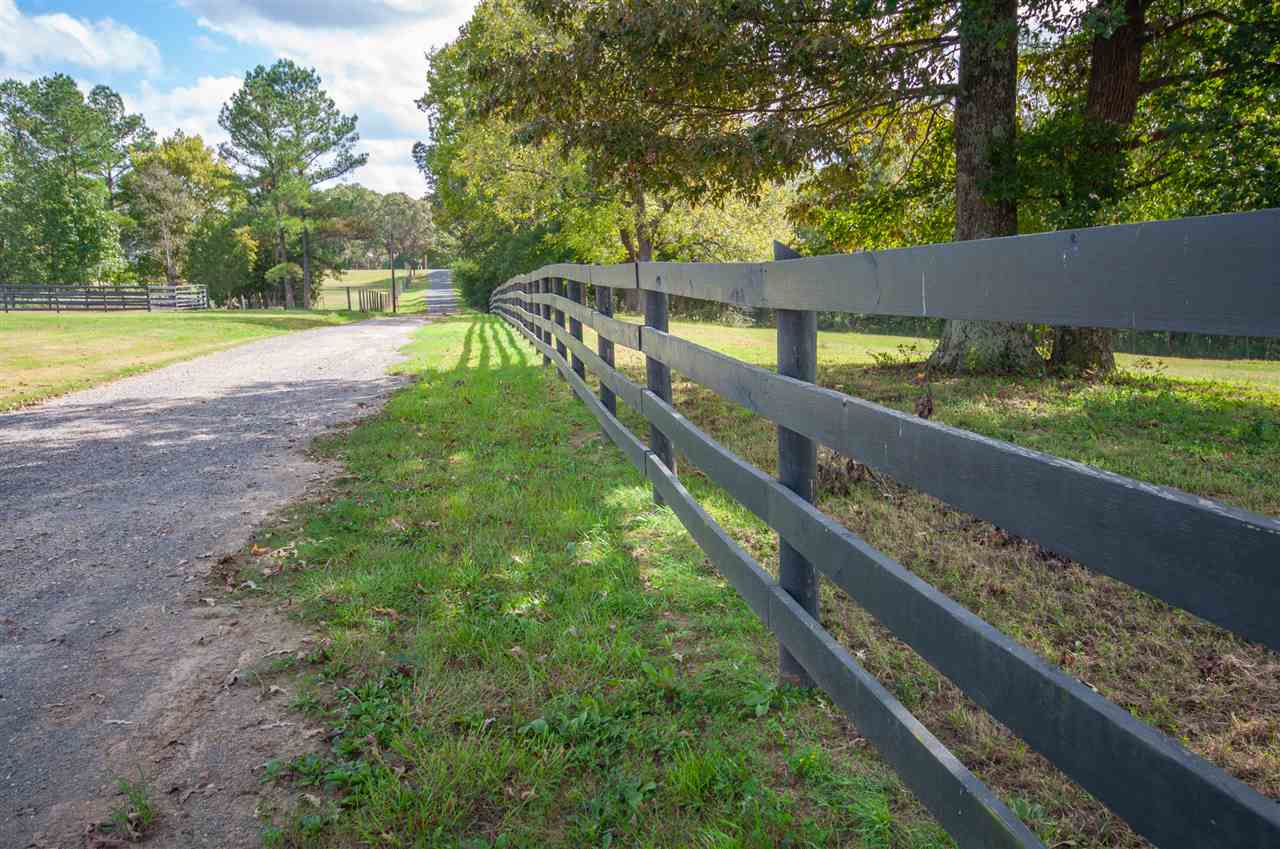 4260 Spring Creek Road, Unit LAVINIA Lavinia, TN 38348 - Photo 3 of 25