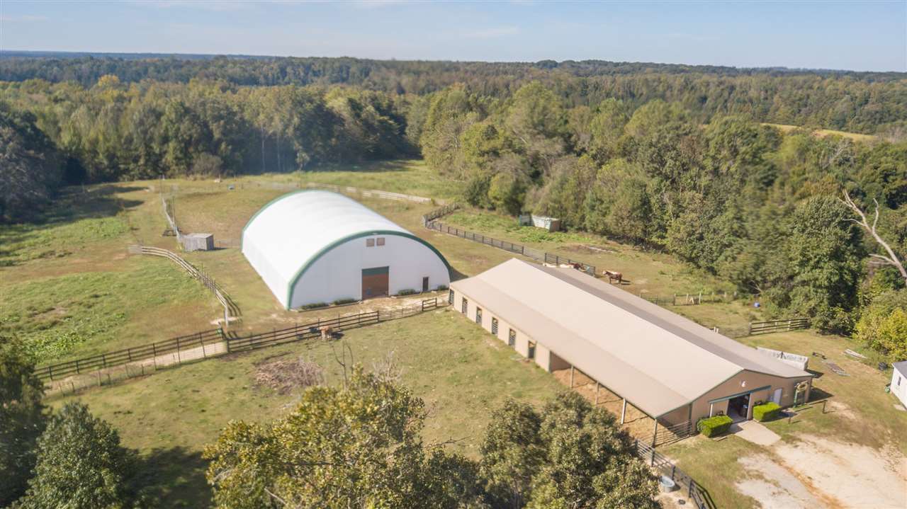 4260 Spring Creek Road, Unit LAVINIA Lavinia, TN 38348 - Photo 5 of 25