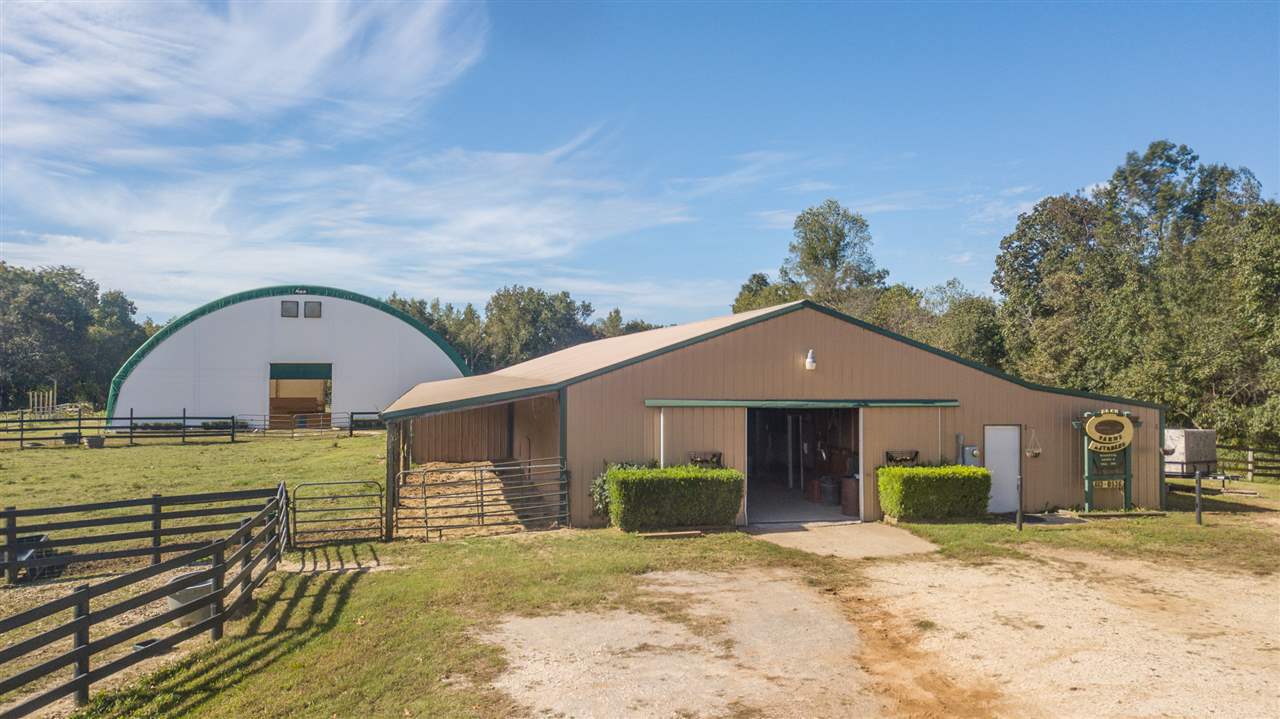4260 Spring Creek Road, Unit LAVINIA Lavinia, TN 38348 - Photo 6 of 25