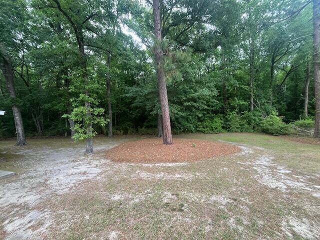 719 Fawn Circle Sumter, SC 29150 - Photo 8 of 44