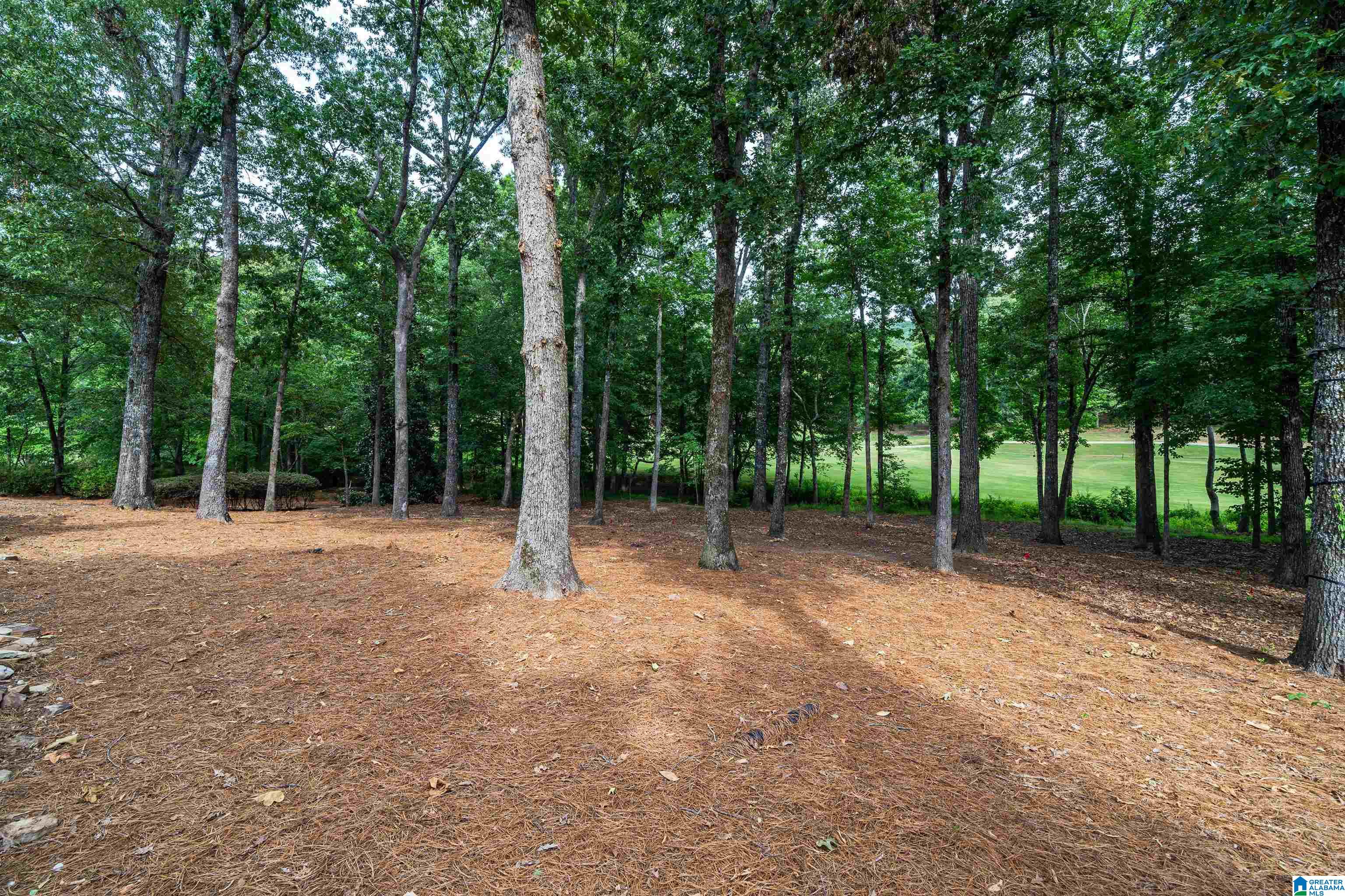 8198 Castlehill Road Birmingham, AL 35242 - Photo 60 of 68