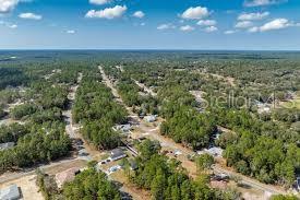 8545 North Wallingford Avenue Dunnellon, FL 34434 - Photo 4 of 4 a view of a city