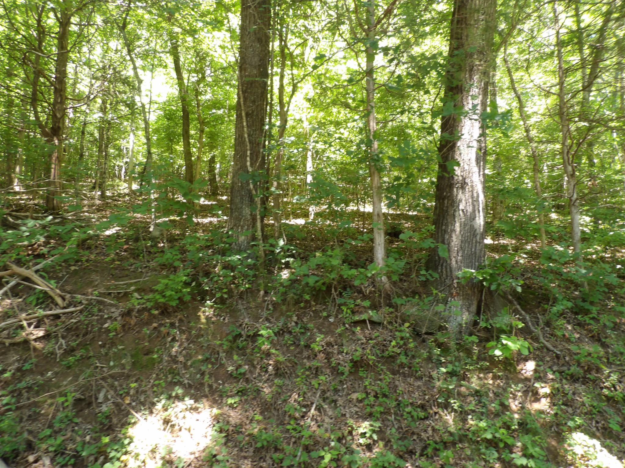 587 West Little Richland Road Waverly, TN 37185 - Photo 18 of 26