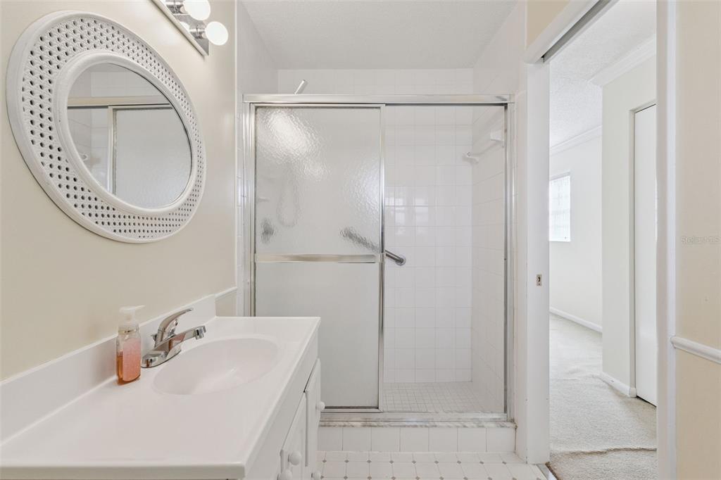 141 Northeast 50th Court Ocala, FL 34470 - Photo 25 of 42 a bathroom with a sink and a mirror