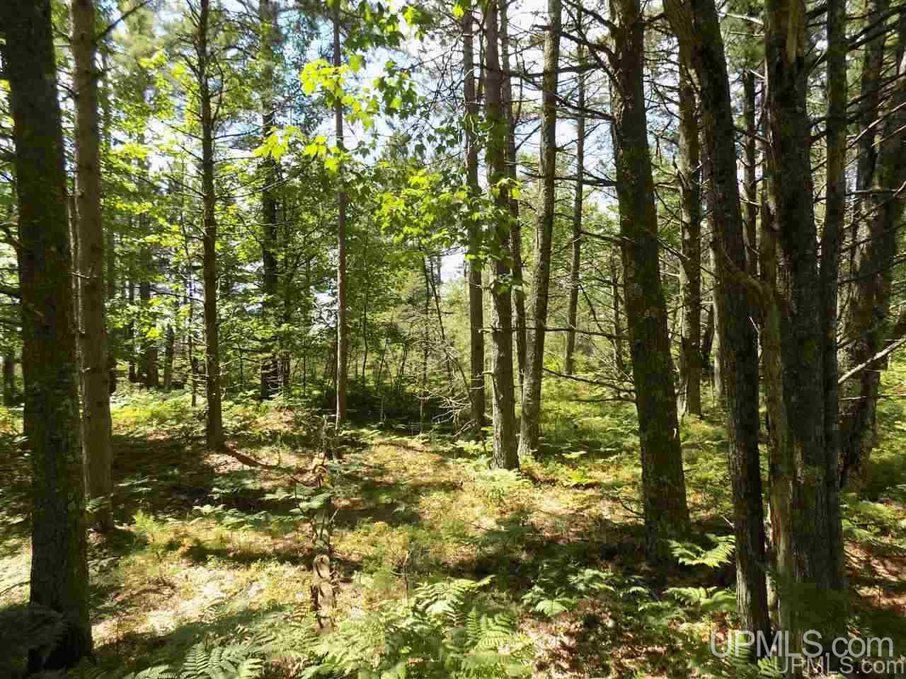 Tbd Top O Lake Road Gulliver, MI 49840 - Photo 15 of 38