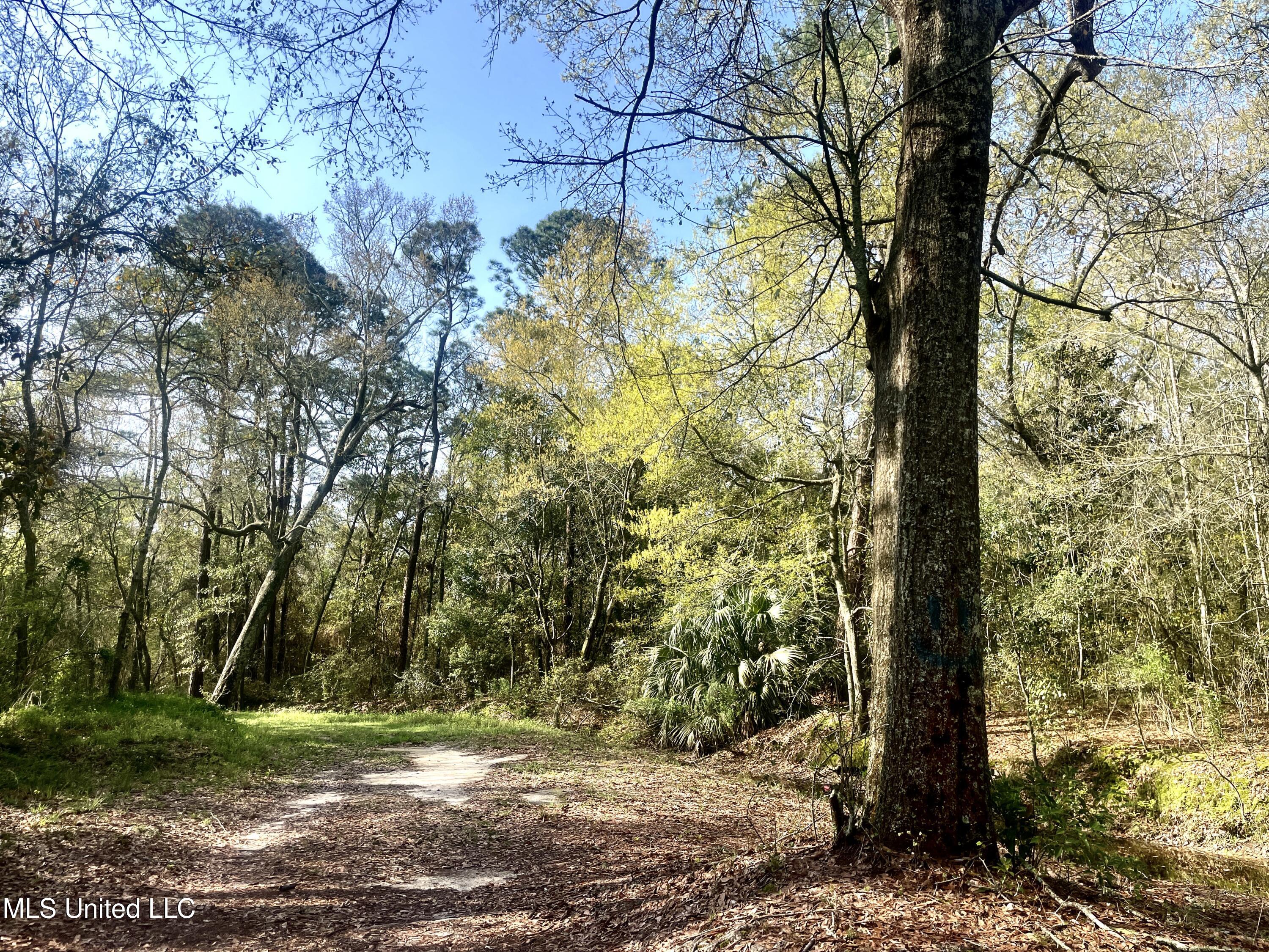 Holland Street Pascagoula, MS 39581 - Photo 13 of 27 Park walk