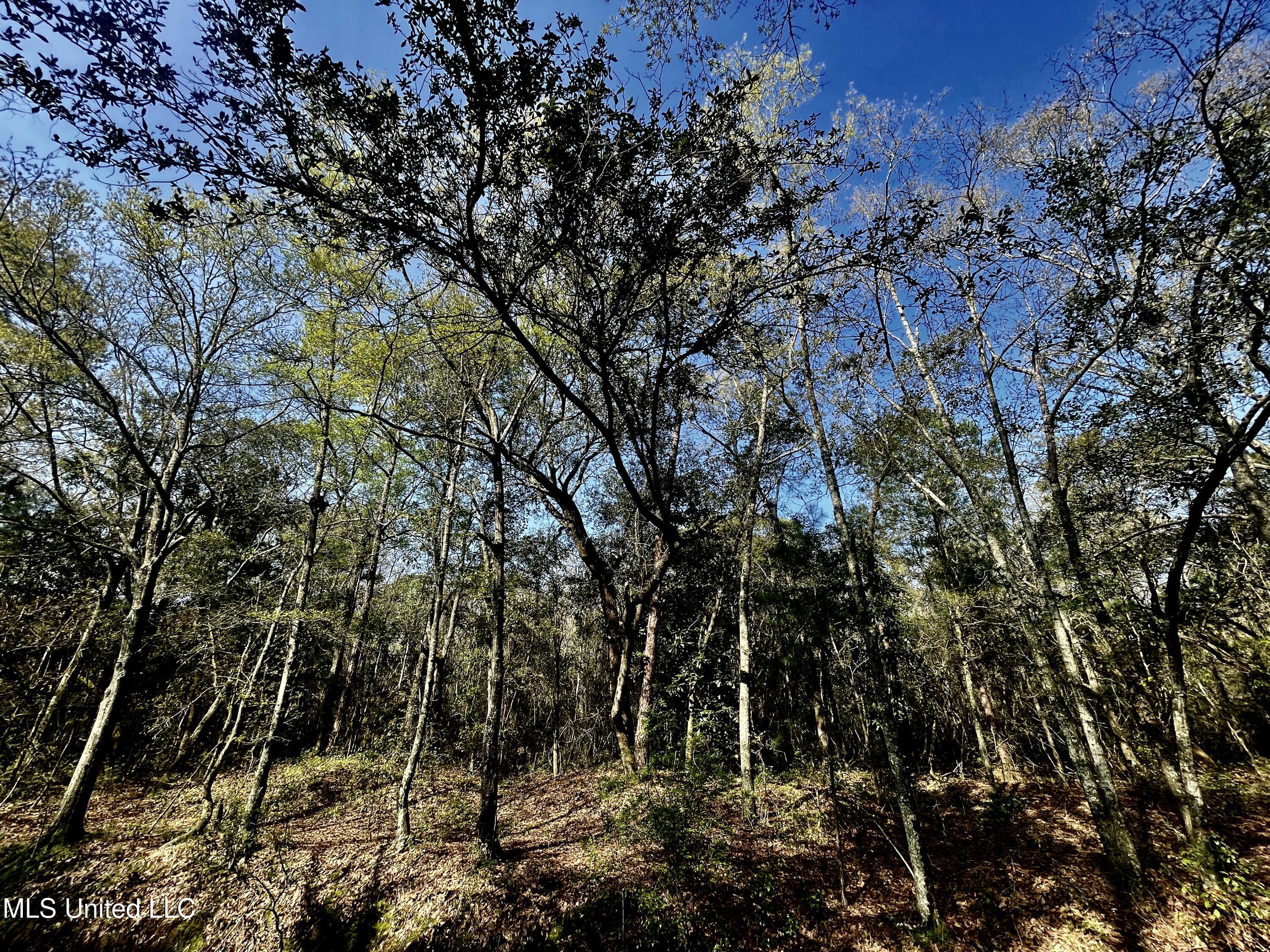 Holland Street Pascagoula, MS 39581 - Photo 15 of 27 IMG_4610