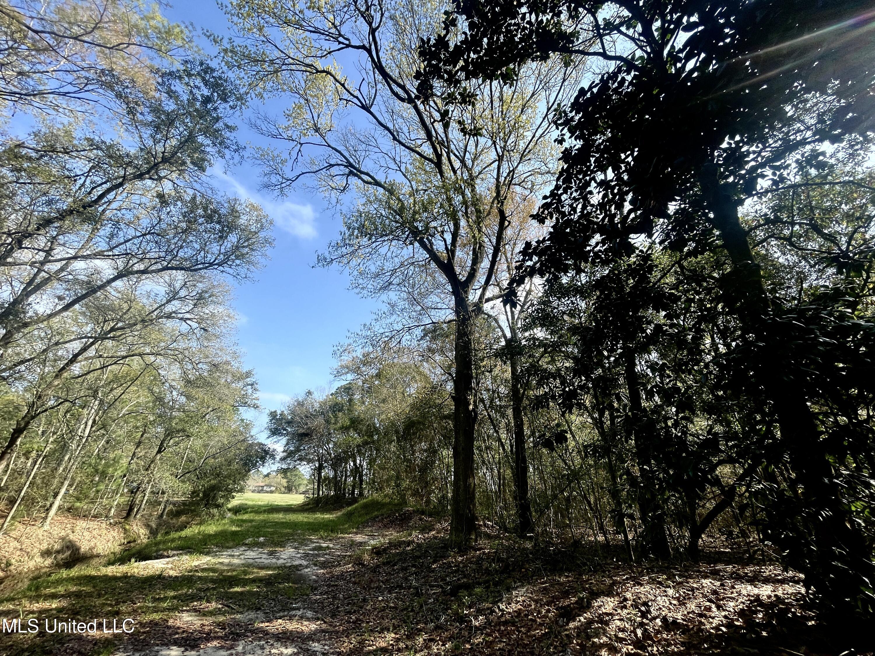 Holland Street Pascagoula, MS 39581 - Photo 16 of 27 IMG_4600