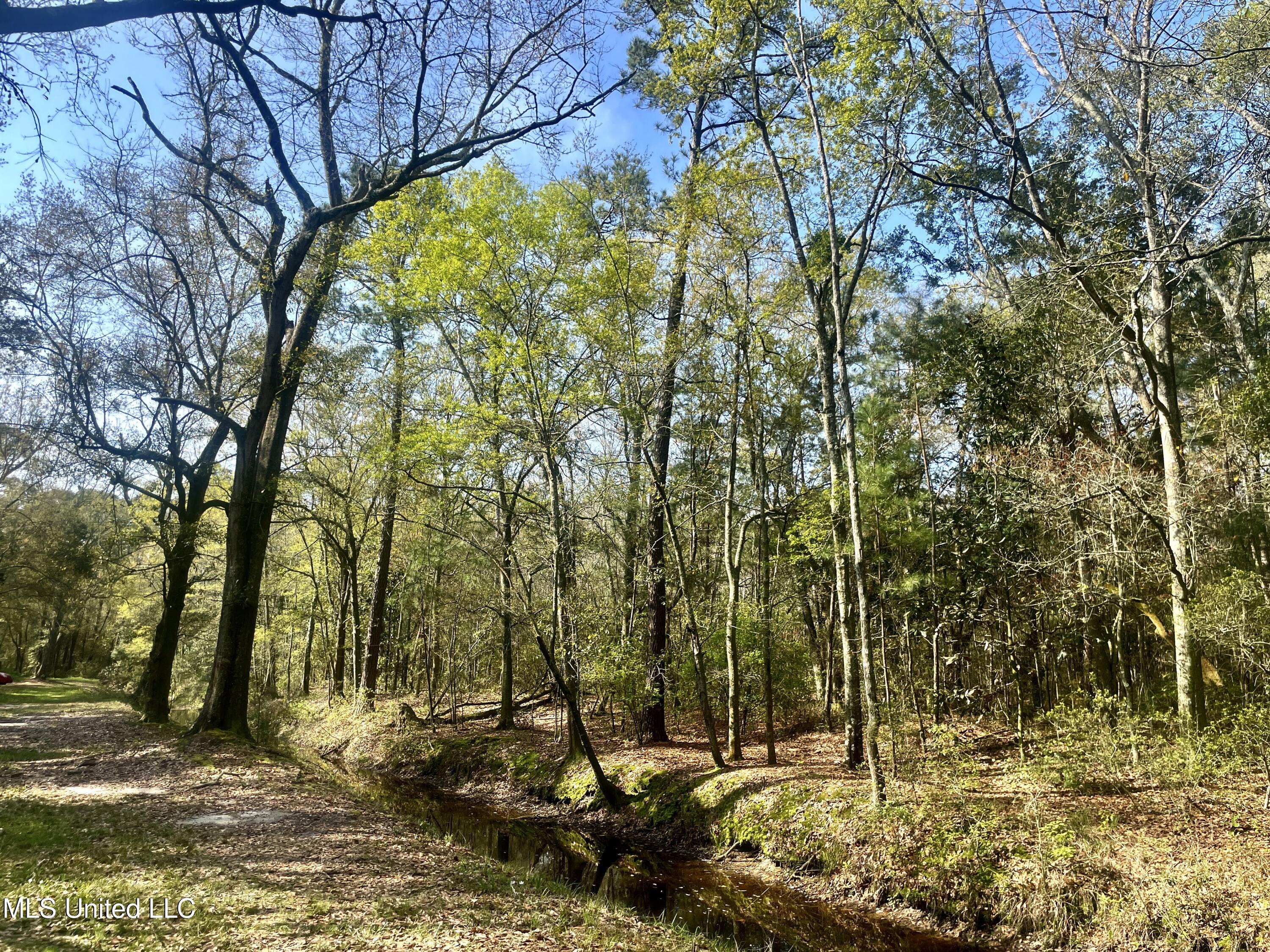 Holland Street Pascagoula, MS 39581 - Photo 17 of 27 IMG_4597