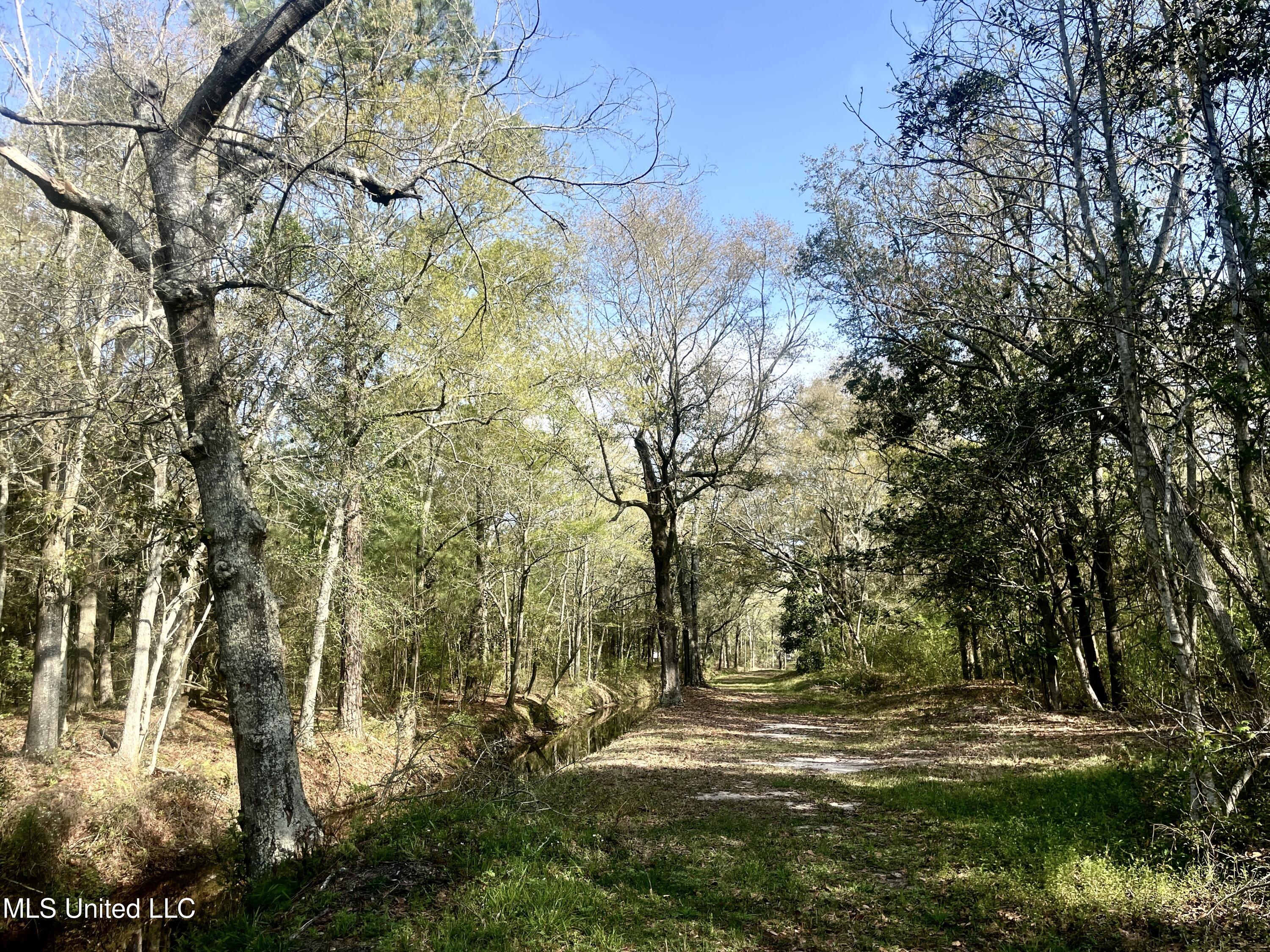 Holland Street Pascagoula, MS 39581 - Photo 20 of 27 IMG_4591