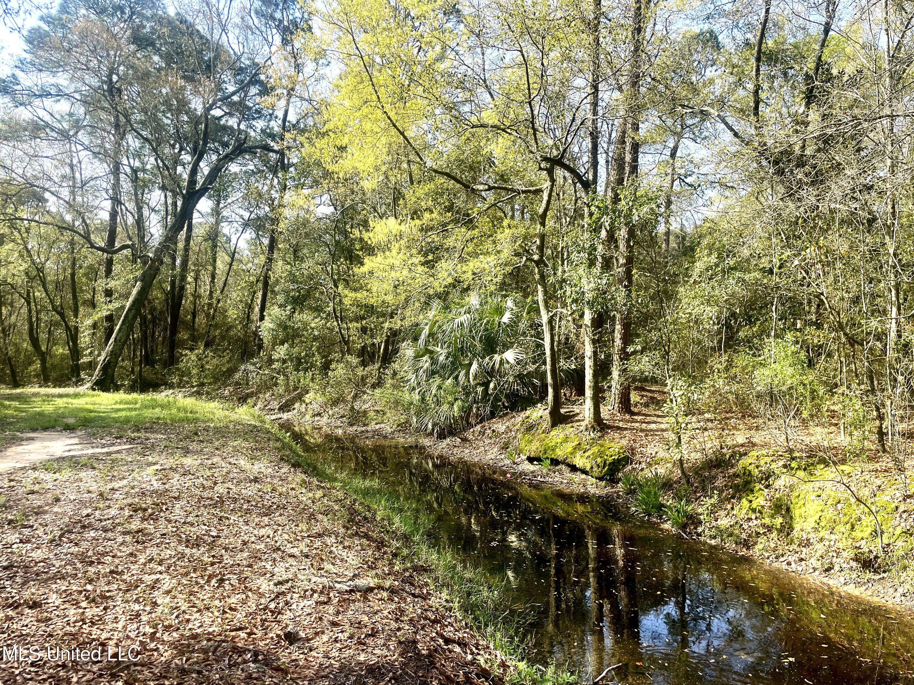 Holland Street Pascagoula, MS 39581 - Photo 21 of 27 IMG_4589