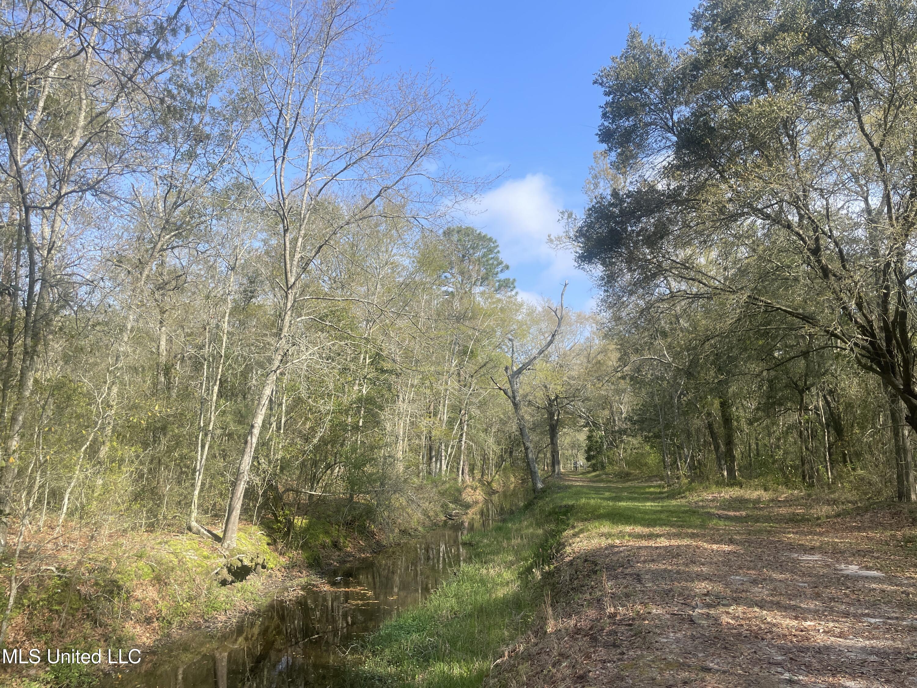 Holland Street Pascagoula, MS 39581 - Photo 22 of 27 IMG_4590