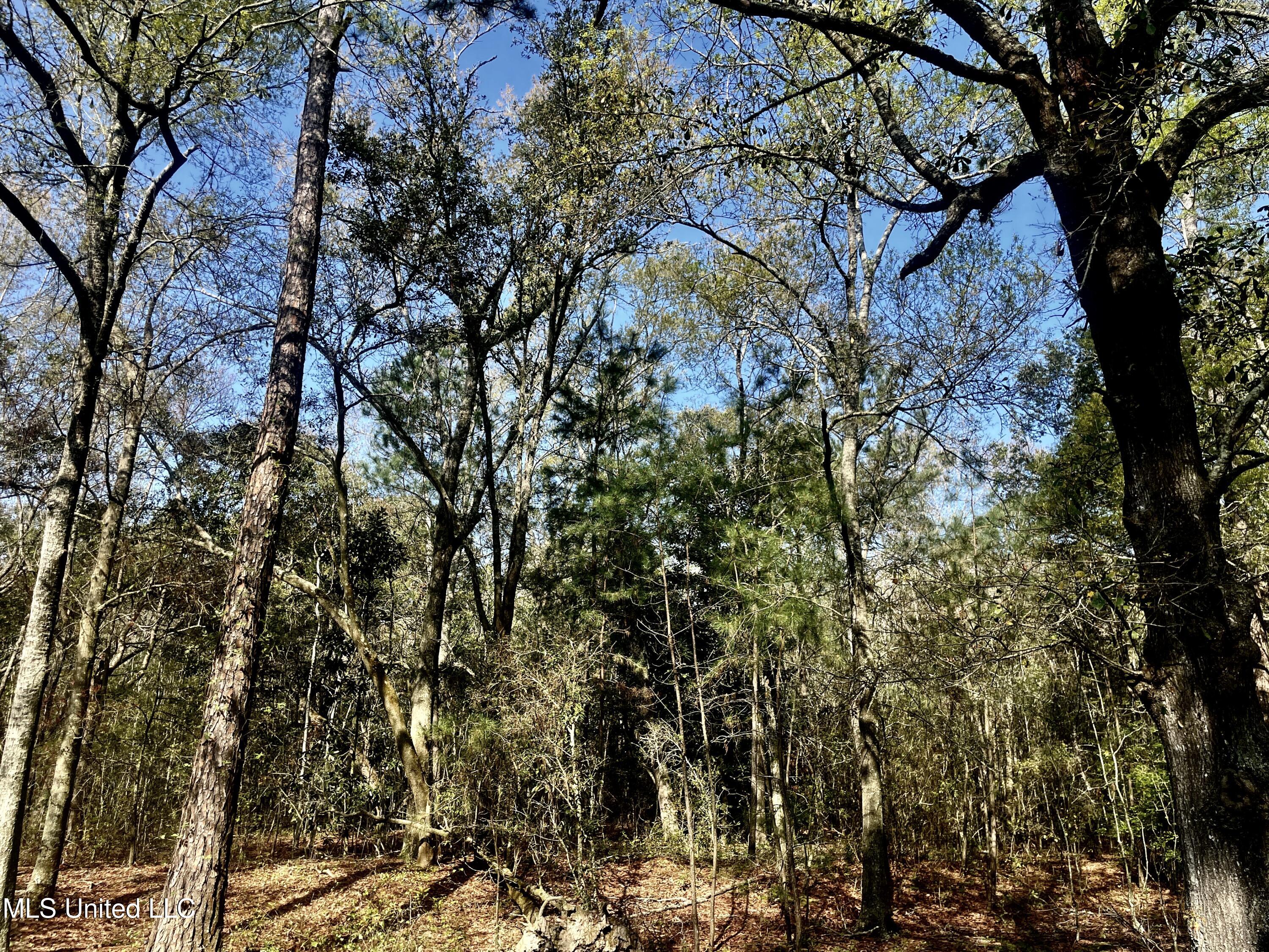 Holland Street Pascagoula, MS 39581 - Photo 23 of 27 IMG_4593