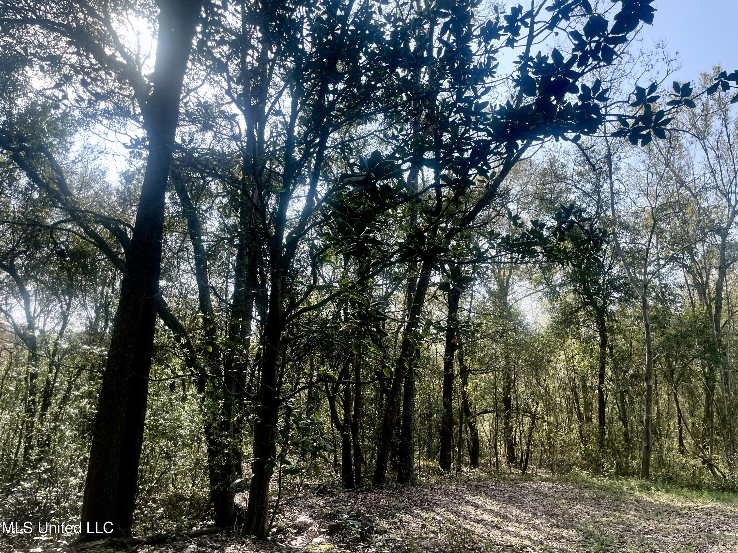 Holland Street Pascagoula, MS 39581 - Photo 24 of 27 IMG_4594