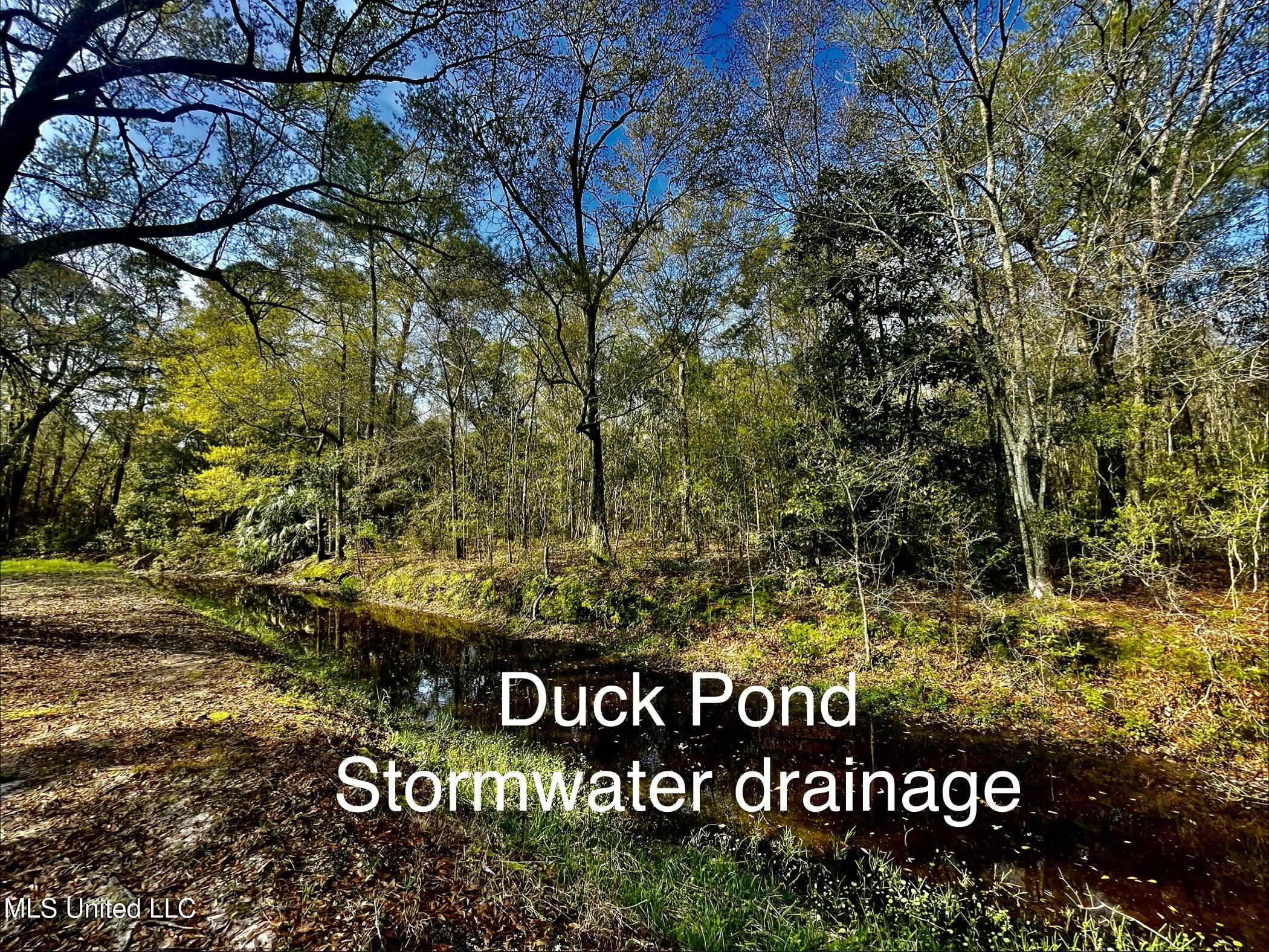 Holland Street Pascagoula, MS 39581 - Photo 27 of 27 Storm water