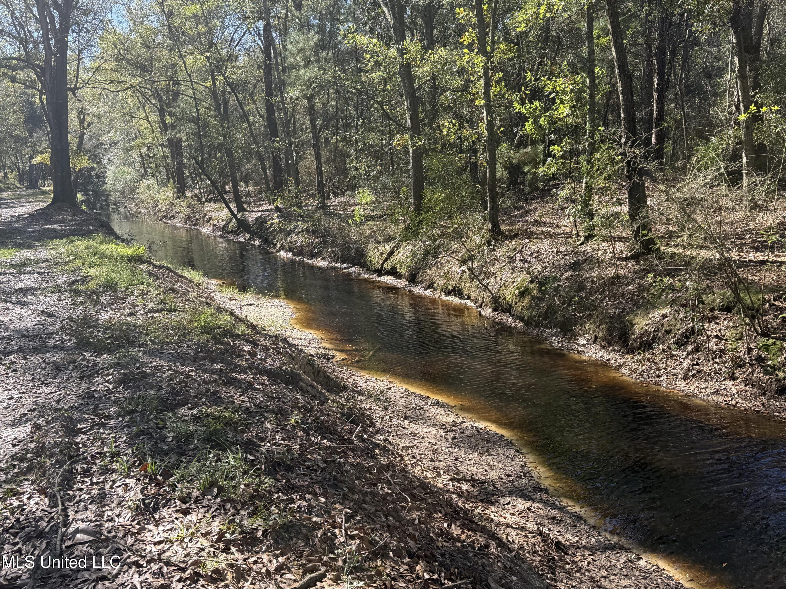 Holland Street Pascagoula, MS 39581 - Photo 3 of 27 Natural Drainage