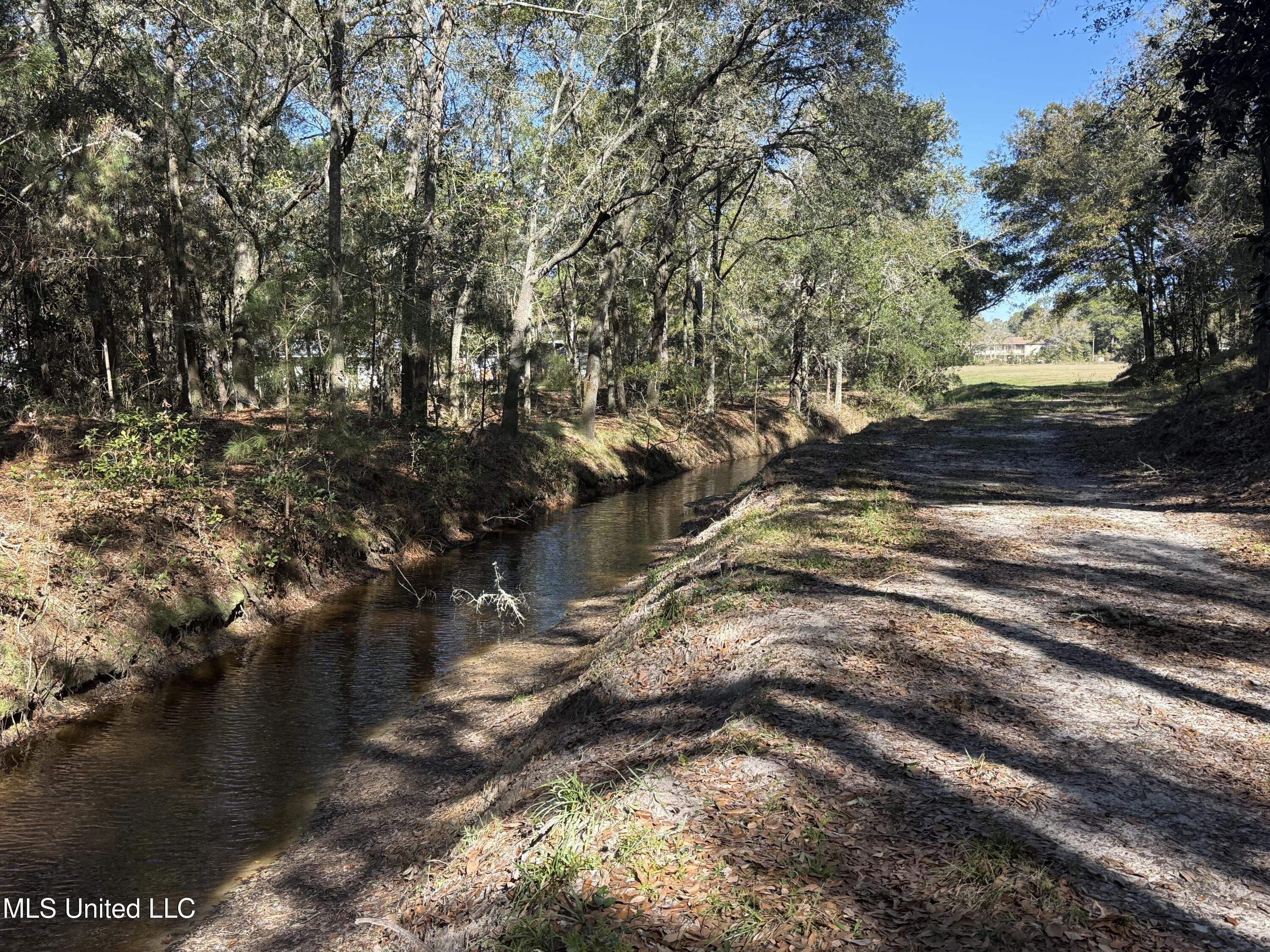 Holland Street Pascagoula, MS 39581 - Photo 6 of 27 Freshwater