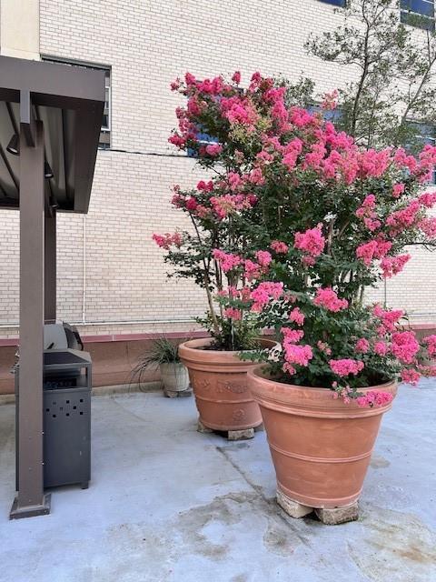 1505 Elm Street, Unit 603 Dallas, TX 75201 - Photo 26 of 36 a view of a fruit basket