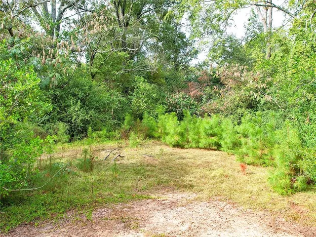 a park view with a entertaining space