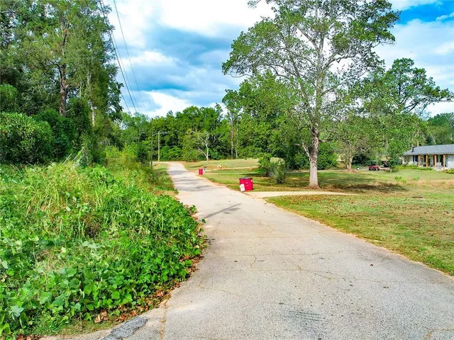 a view of a yard with plants and a road