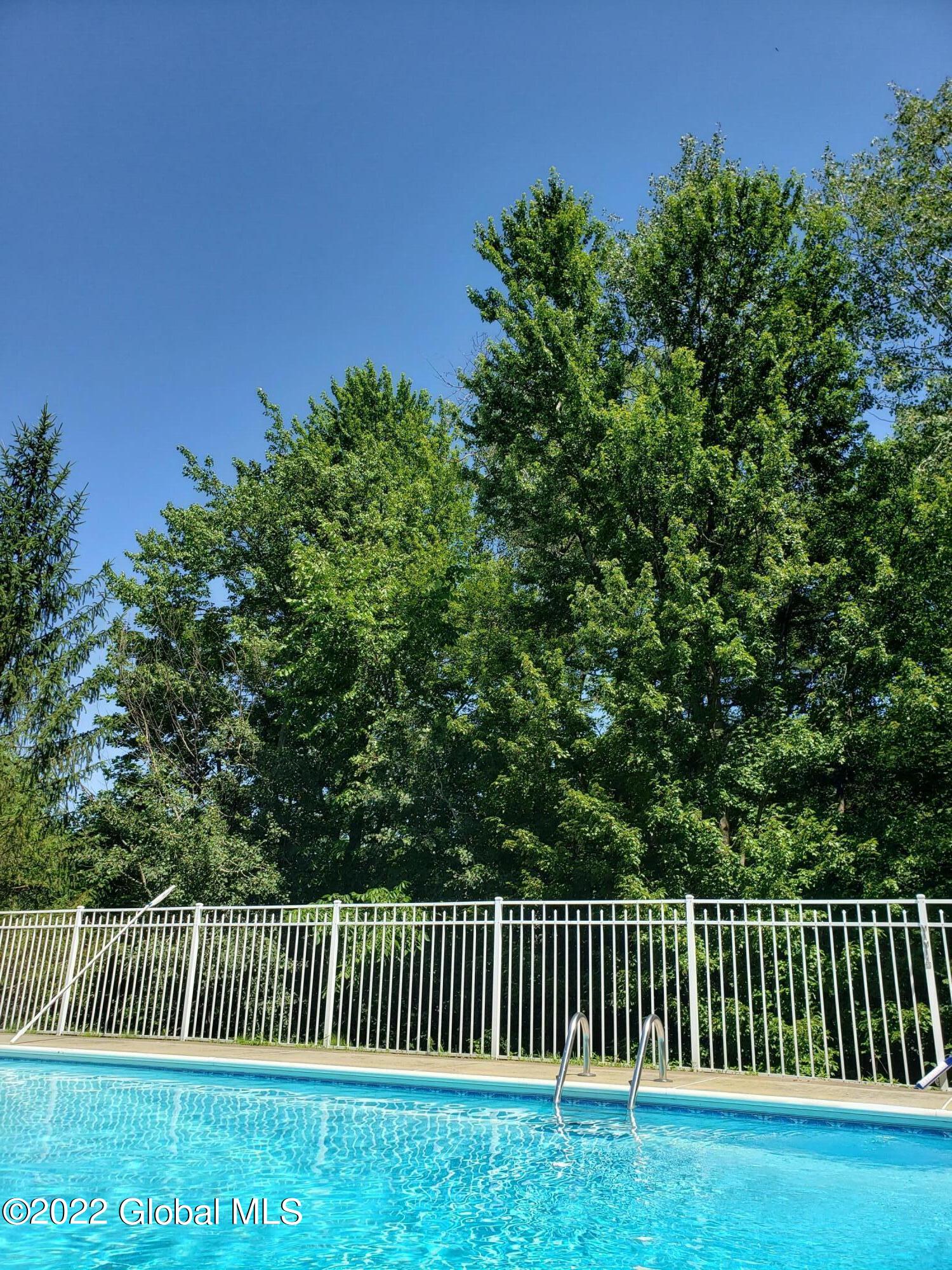 14 Thomas Drive Wynantskill, NY 12198 - Photo 44 of 52 pool