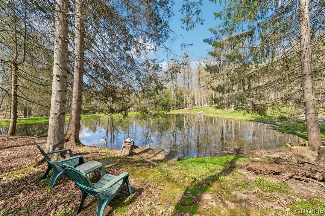 3890 Weber Road Orangeville, NY 14569 - Photo 2 of 40