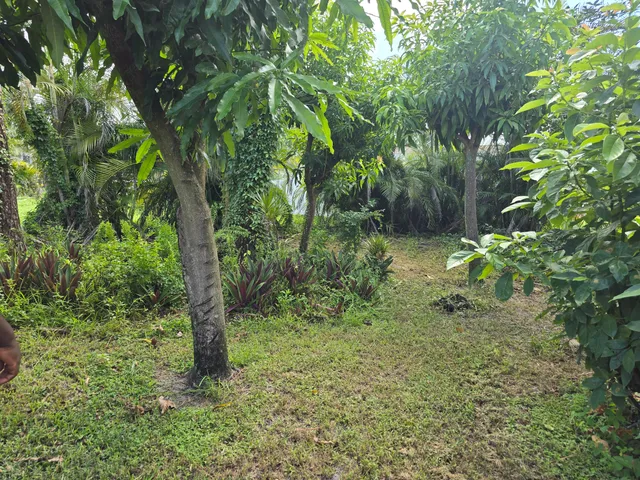 $2,800 | 4125 Pine Branch Circle, Lake Worth, FL 33467