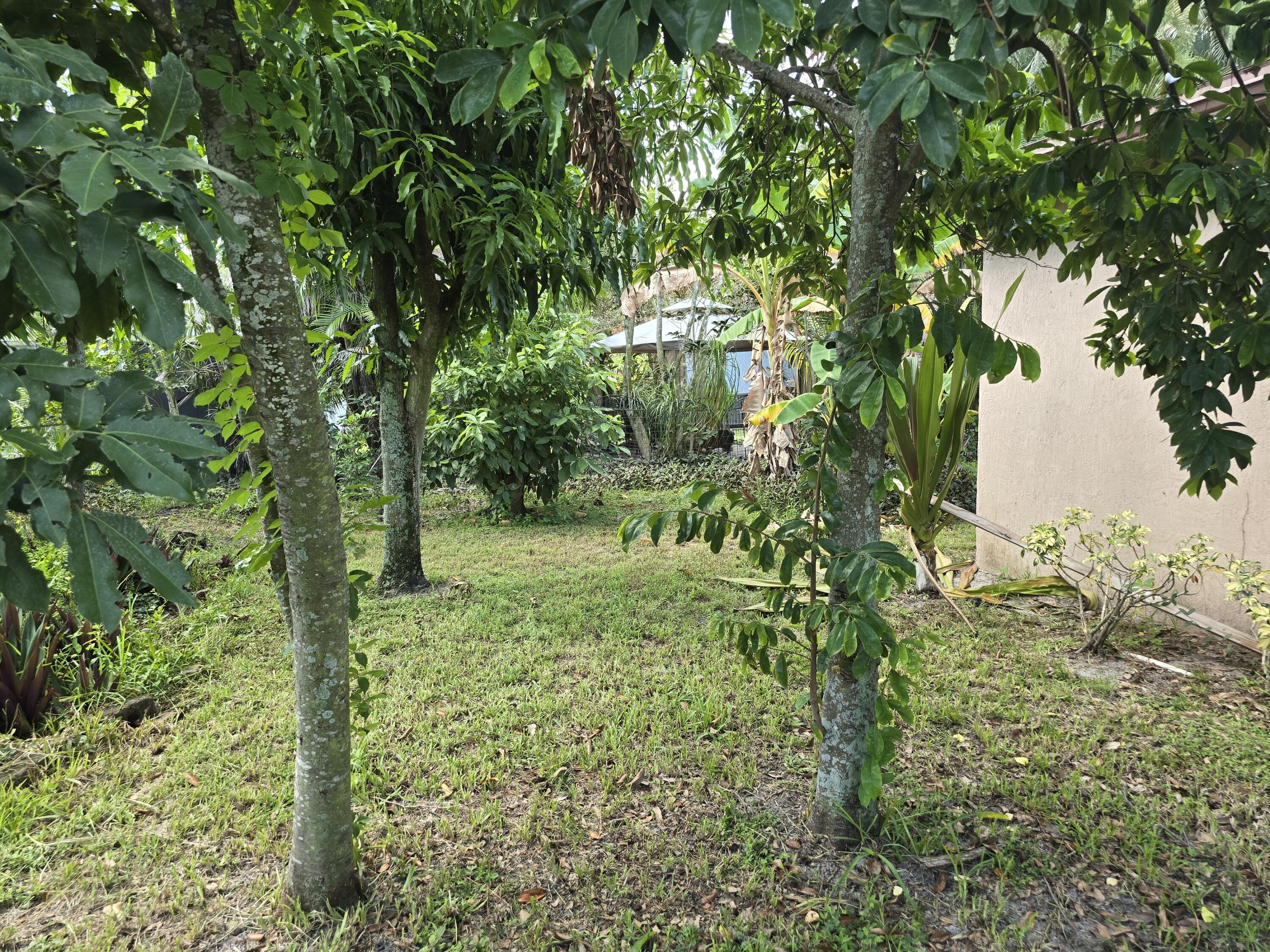 4125 Pine Branch Circle Lake Worth, FL 33467 - Photo 35 of 39 20250901_112206