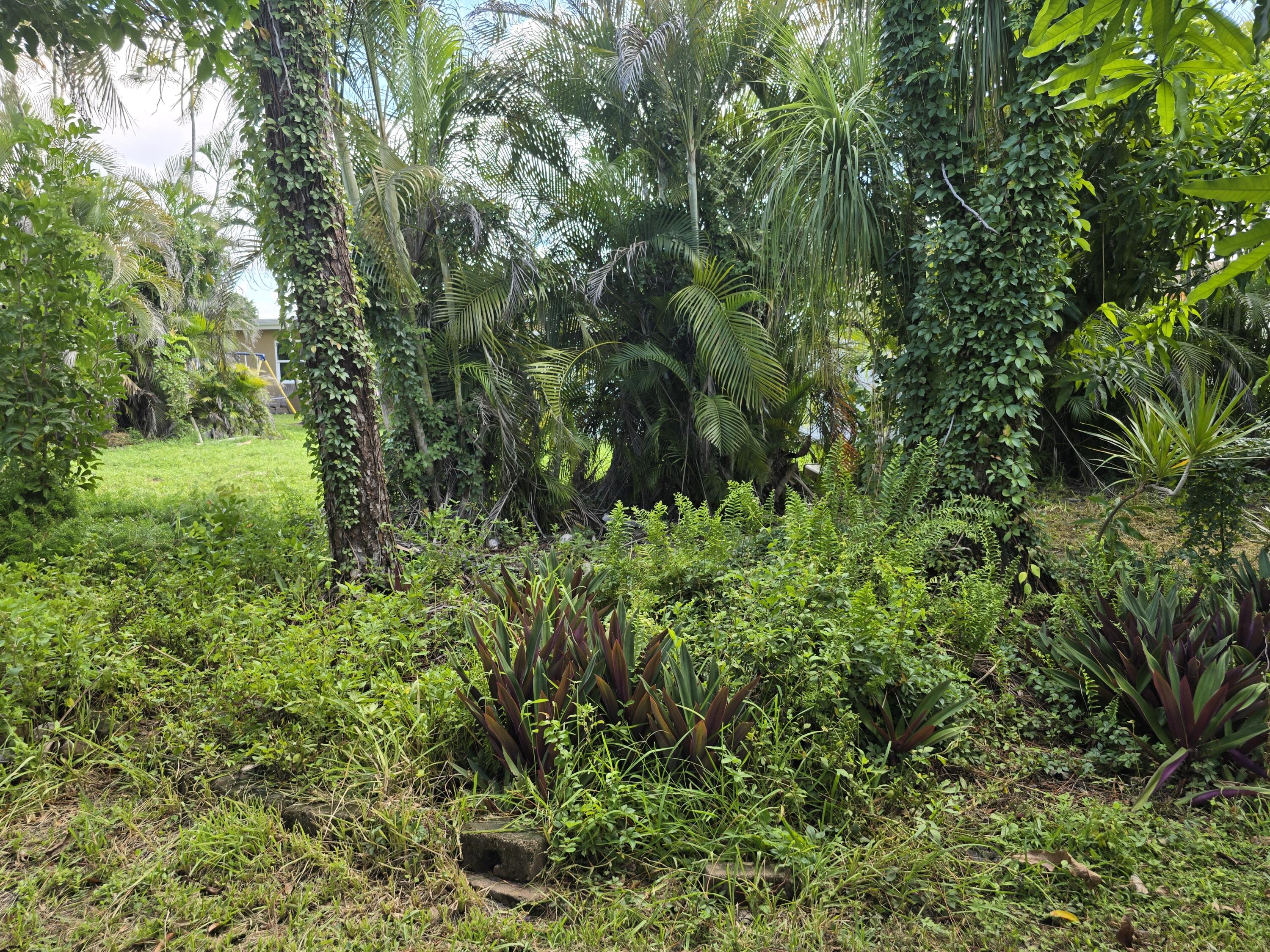 4125 Pine Branch Circle Lake Worth, FL 33467 - Photo 36 of 39 20250901_112155