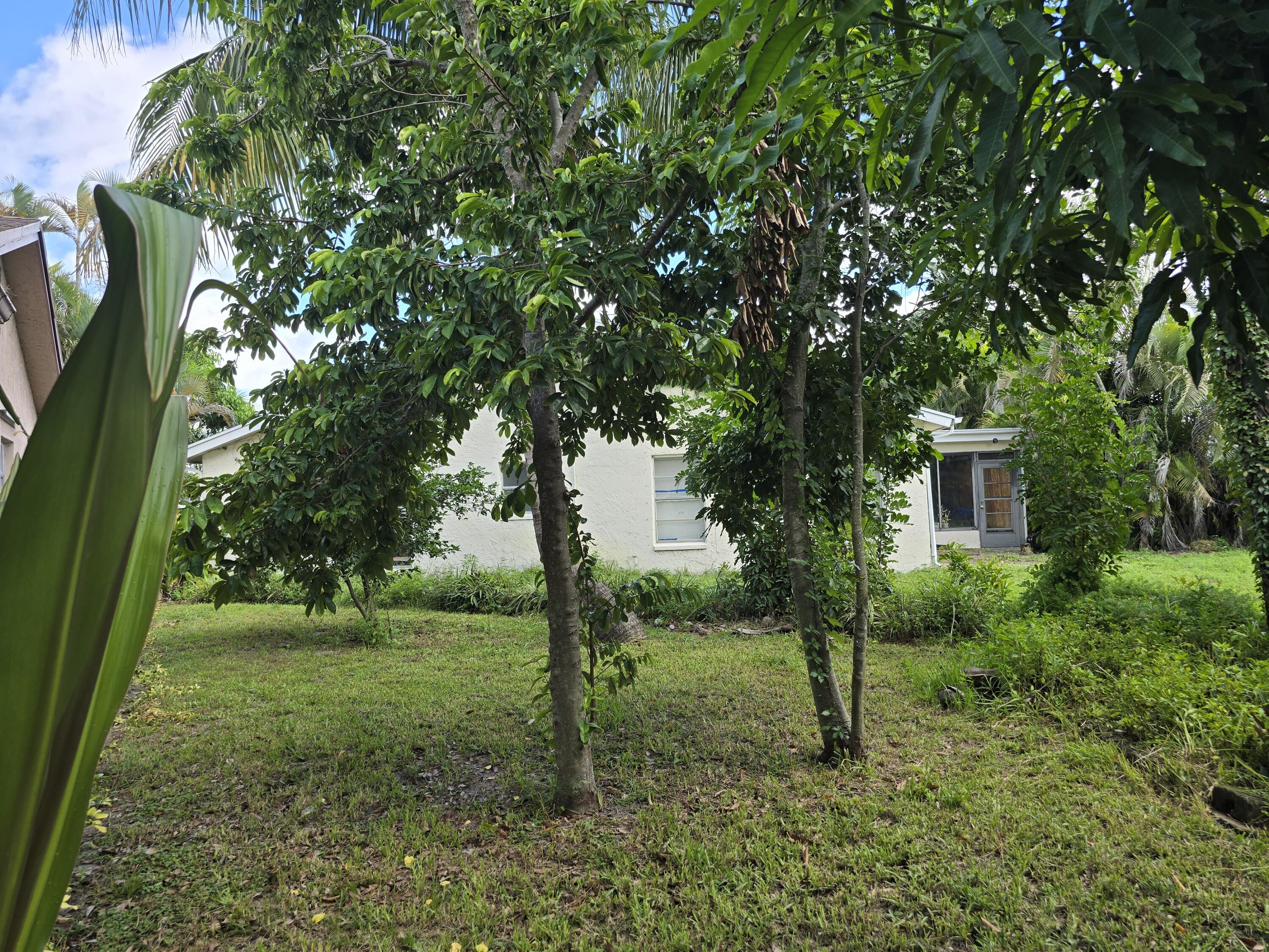 4125 Pine Branch Circle Lake Worth, FL 33467 - Photo 37 of 39 20250901_112141