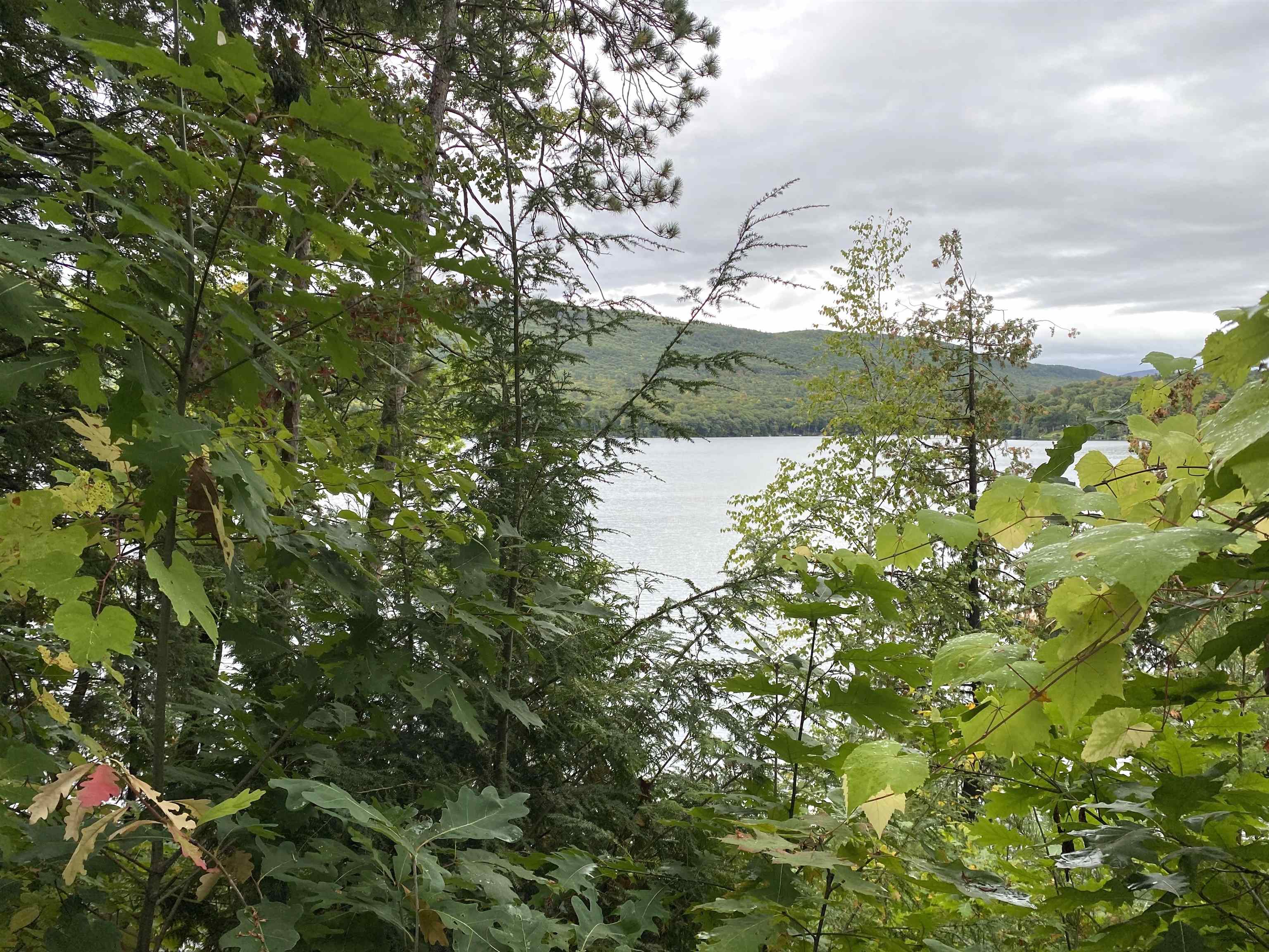 53 Lakeview Drive Leicester, VT 05733 - Photo 19 of 43