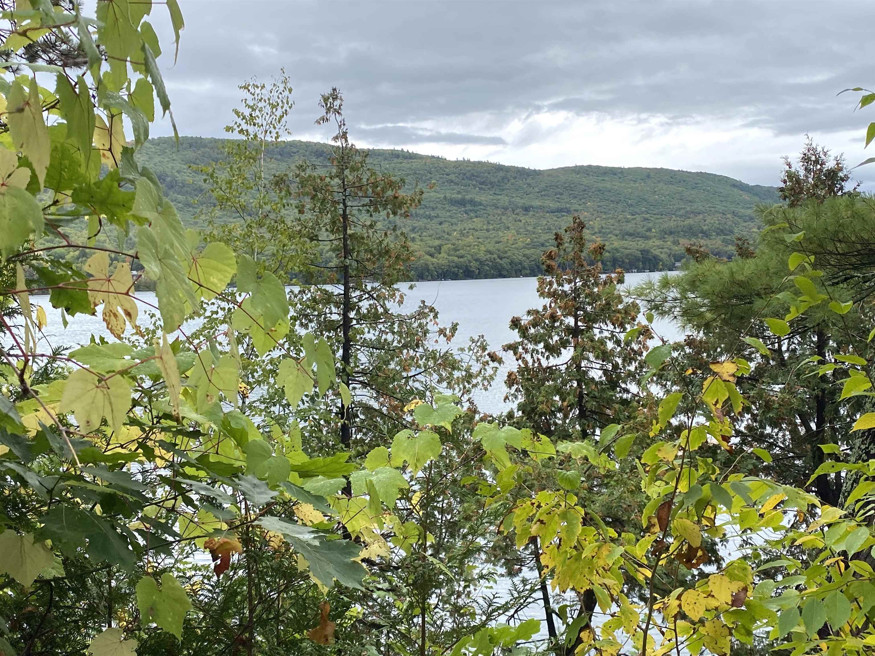 53 Lakeview Drive Leicester, VT 05733 - Photo 4 of 43