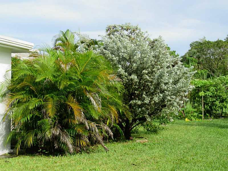 8516 Northwest 57th Court Tamarac, FL 33321 - Photo 5 of 6 Yard/Garden