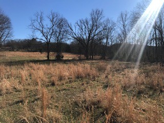 278 West Potter Road Alexandria, TN 37012 - Photo 22 of 31 Gallery Image 22