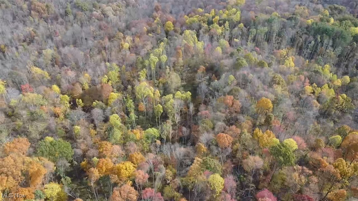4277 Twin Sisters Road Cambridge, OH 43725 - Photo 25 of 27 View of property location with a heavily wooded area