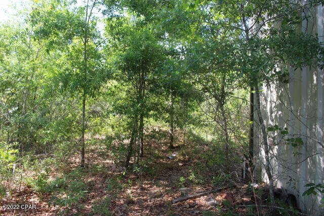 4875 Hasty Pond Road Marianna, FL 32448 - Photo 7 of 25 Gallery Image 7