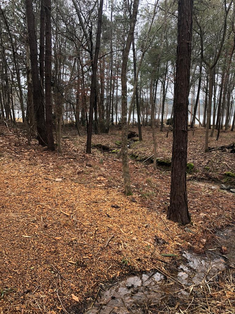 Lot 100 Rolling Bend Road Columbus, GA 31904 - Photo 14 of 15