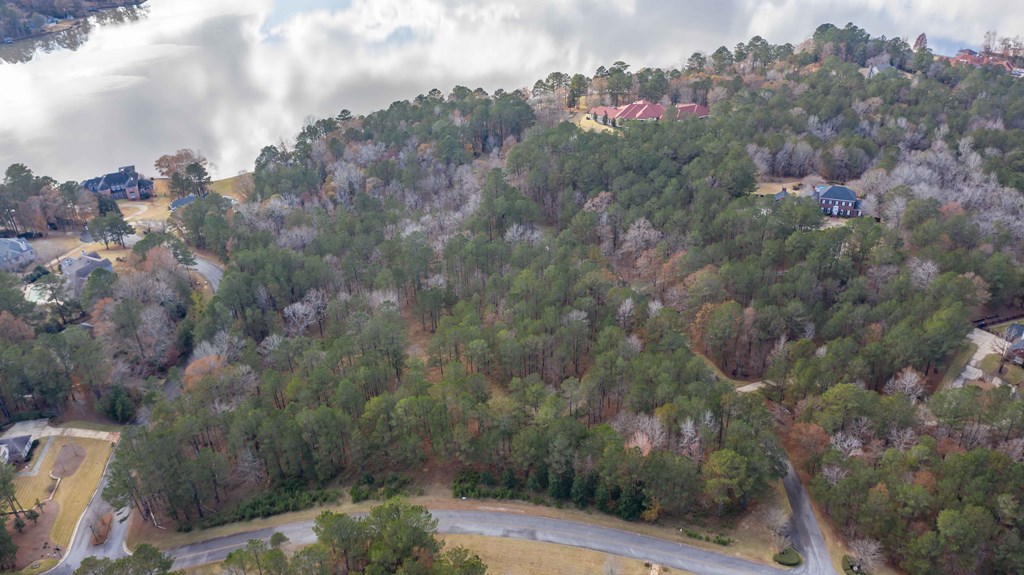 Lot 100 Rolling Bend Road Columbus, GA 31904 - Photo 5 of 15