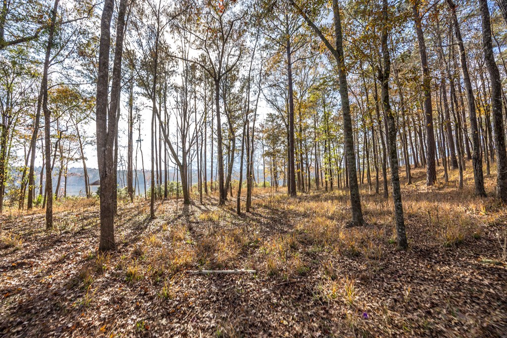 Lot 100 Rolling Bend Road Columbus, GA 31904 - Photo 7 of 15