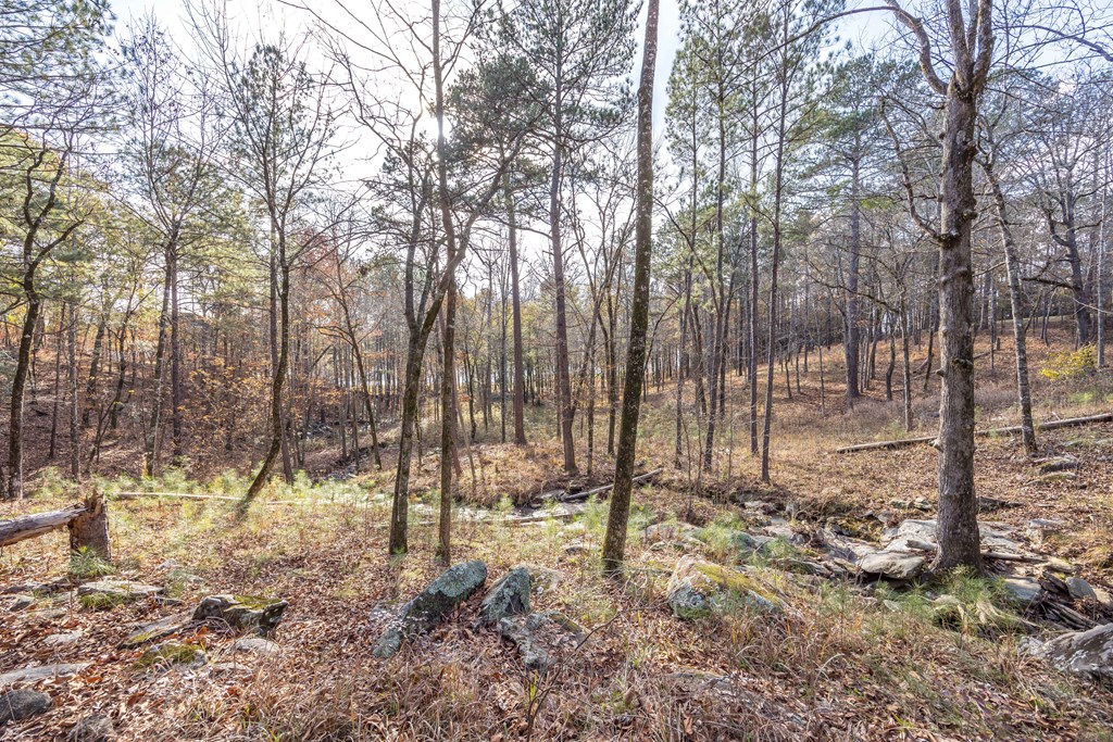 Lot 100 Rolling Bend Road Columbus, GA 31904 - Photo 9 of 15