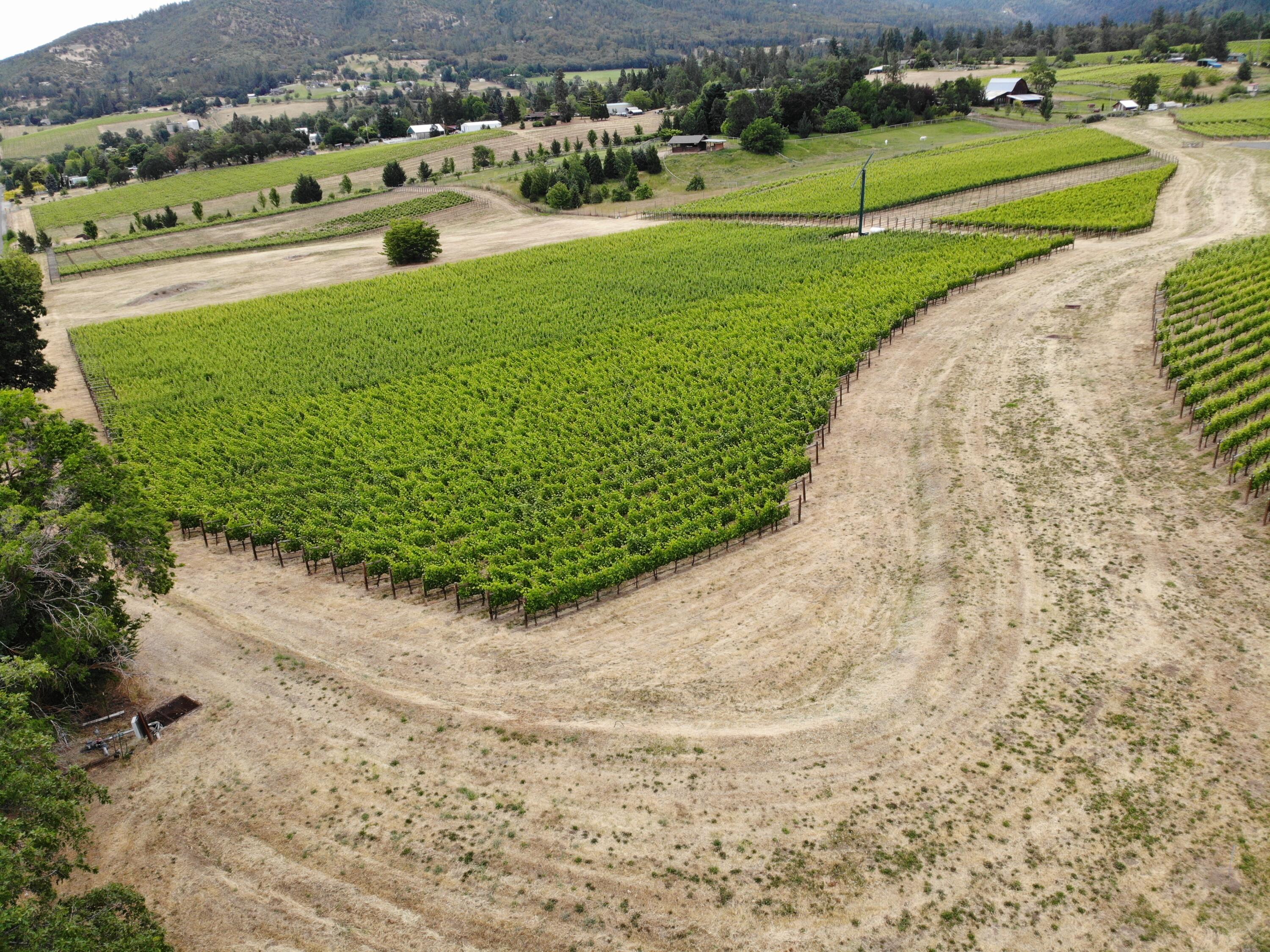 925 Anderson Creek Road Talent, OR 97540 - Photo 45 of 52 DJI_0974