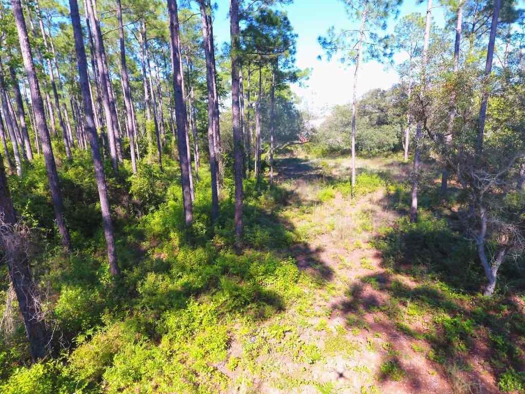 14600 Innerarity Point Road, Unit LOT #44 Pensacola, FL 32507 - Photo 1 of 15 Gallery Image 1