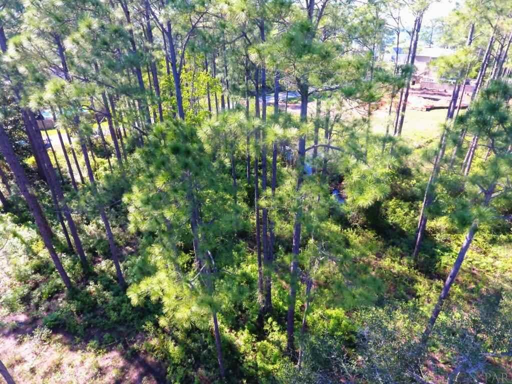 14600 Innerarity Point Road, Unit LOT #44 Pensacola, FL 32507 - Photo 11 of 15 Gallery Image 11