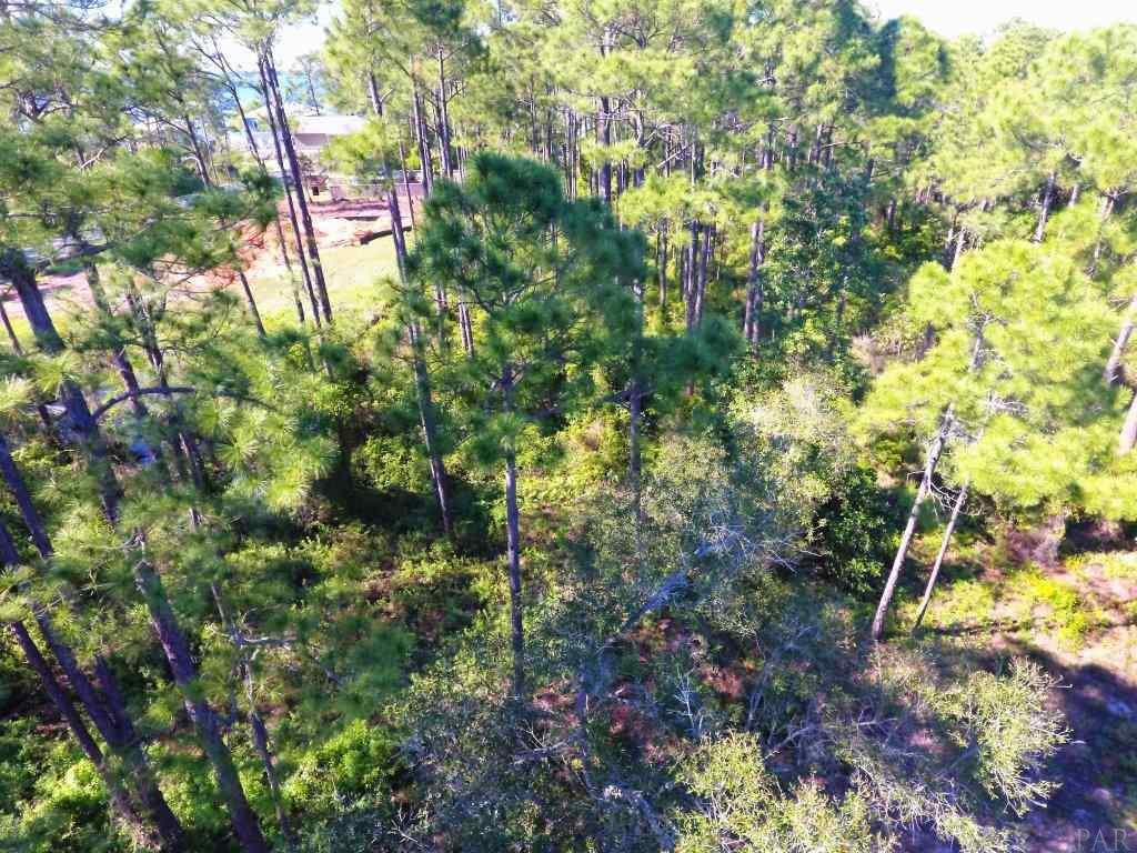 14600 Innerarity Point Road, Unit LOT #44 Pensacola, FL 32507 - Photo 12 of 15 Gallery Image 12