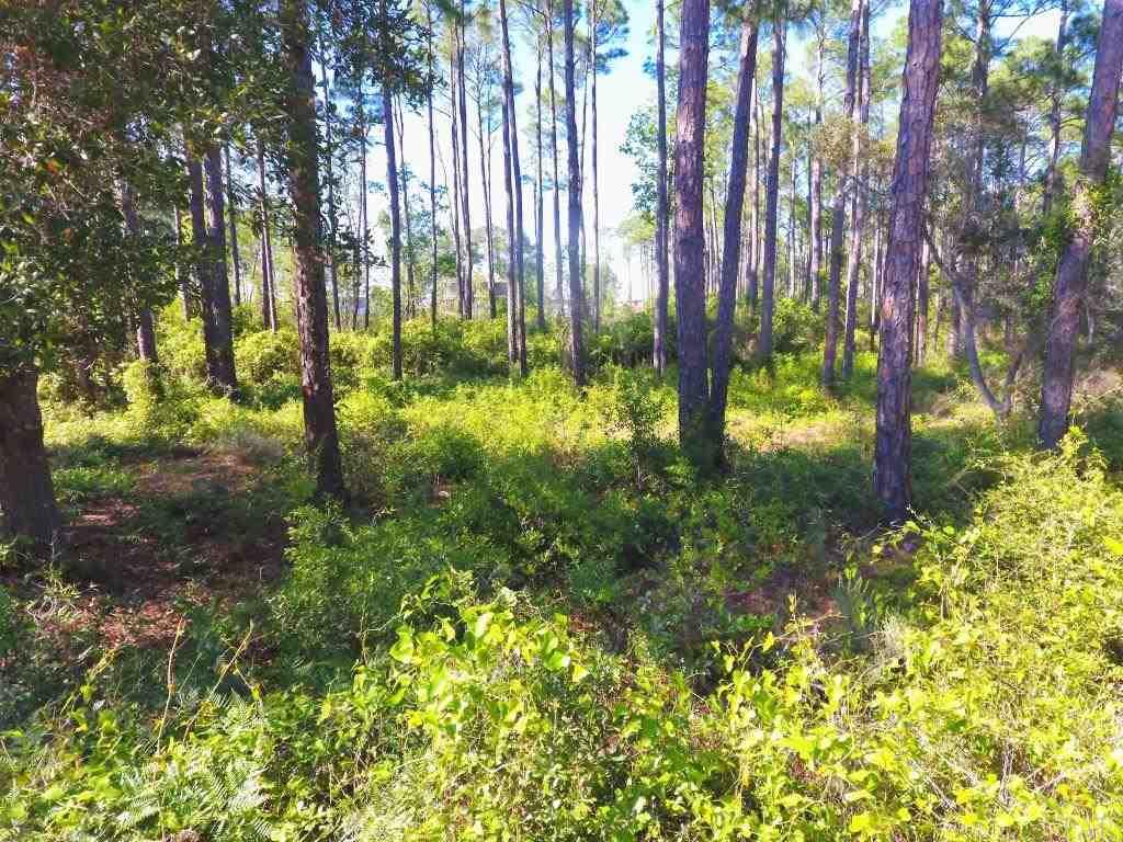 14600 Innerarity Point Road, Unit LOT #44 Pensacola, FL 32507 - Photo 13 of 15 Gallery Image 13