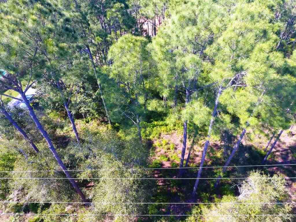 14600 Innerarity Point Road, Unit LOT #44 Pensacola, FL 32507 - Photo 14 of 15 Gallery Image 14