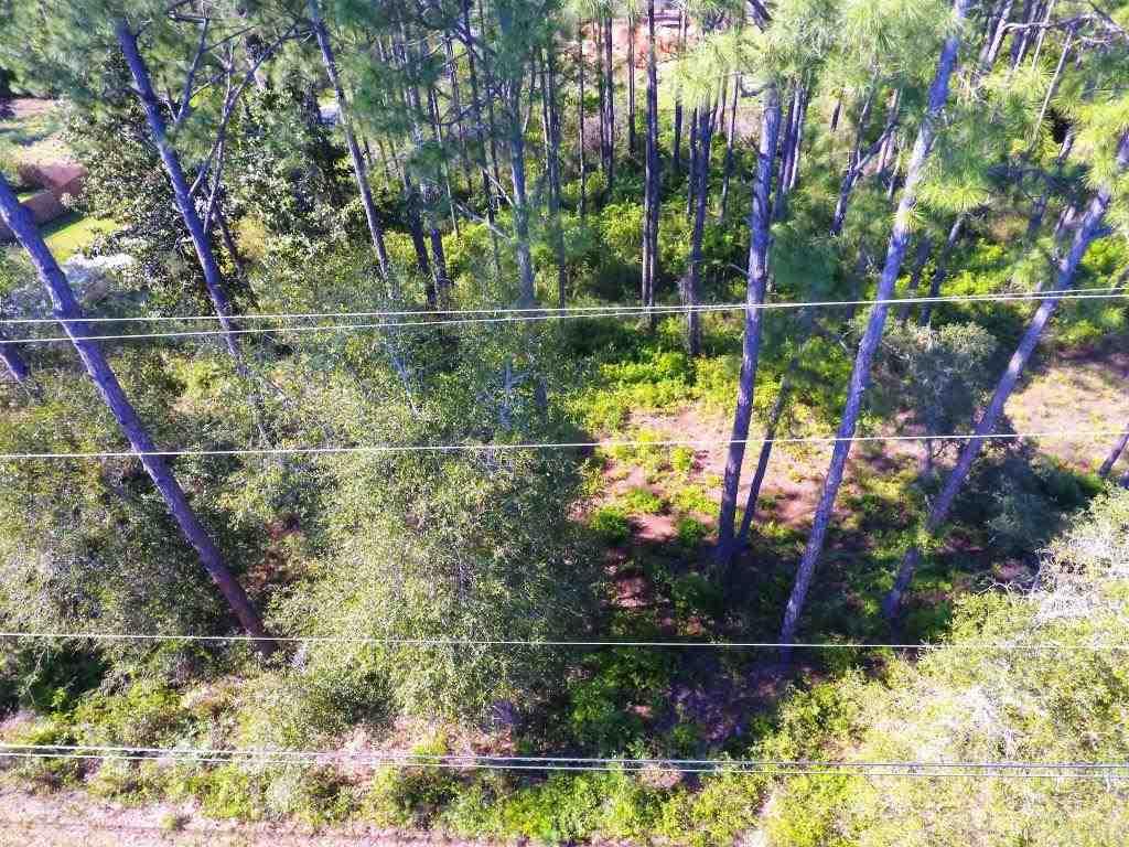 14600 Innerarity Point Road, Unit LOT #44 Pensacola, FL 32507 - Photo 15 of 15 Gallery Image 15