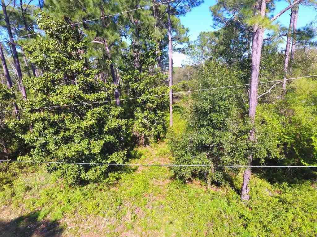 14600 Innerarity Point Road, Unit LOT #44 Pensacola, FL 32507 - Photo 4 of 15 Gallery Image 4