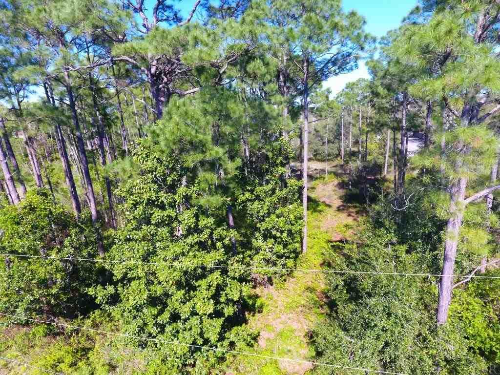 14600 Innerarity Point Road, Unit LOT #44 Pensacola, FL 32507 - Photo 5 of 15 Gallery Image 5