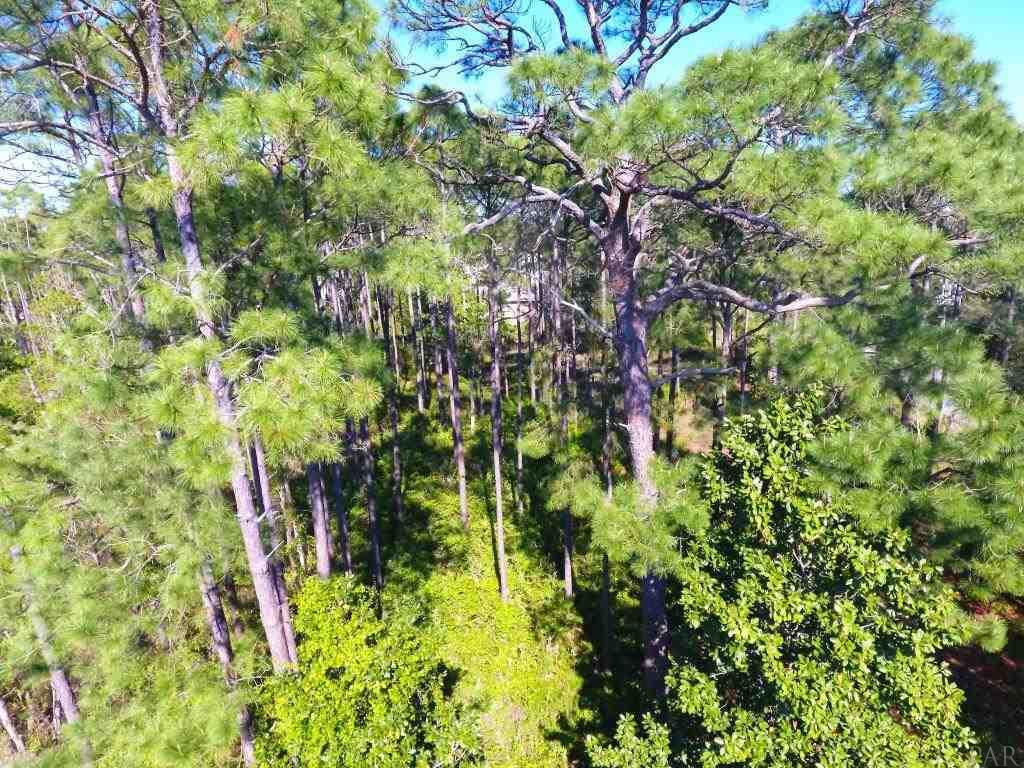 14600 Innerarity Point Road, Unit LOT #44 Pensacola, FL 32507 - Photo 6 of 15 Gallery Image 6